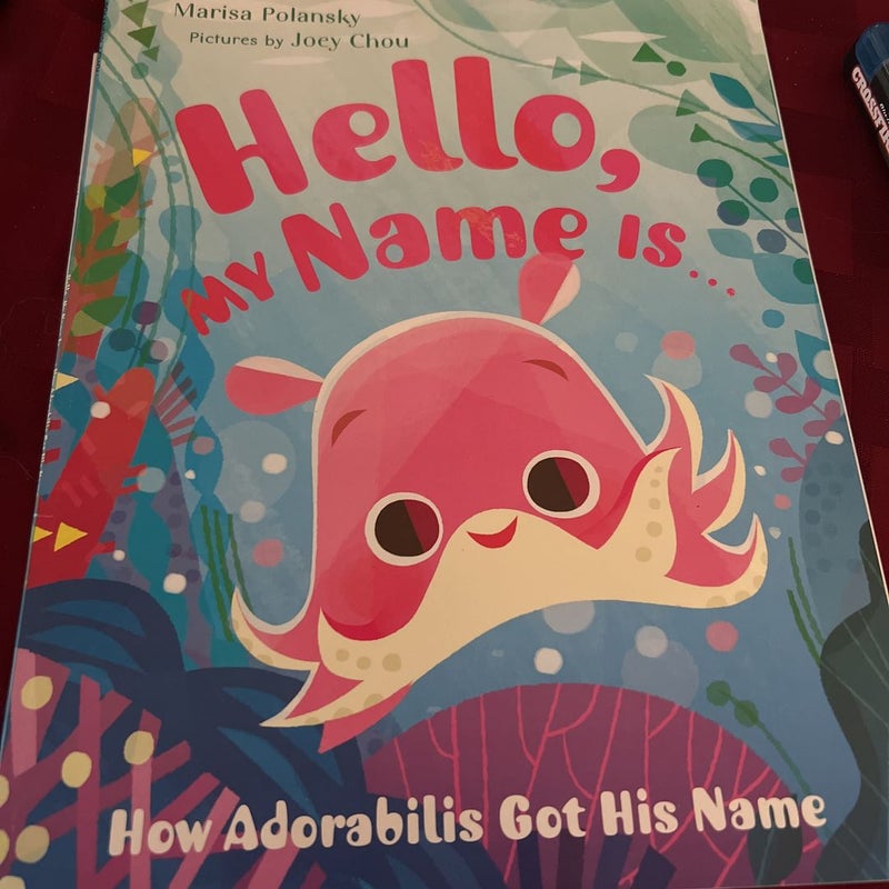 Hello my name is….