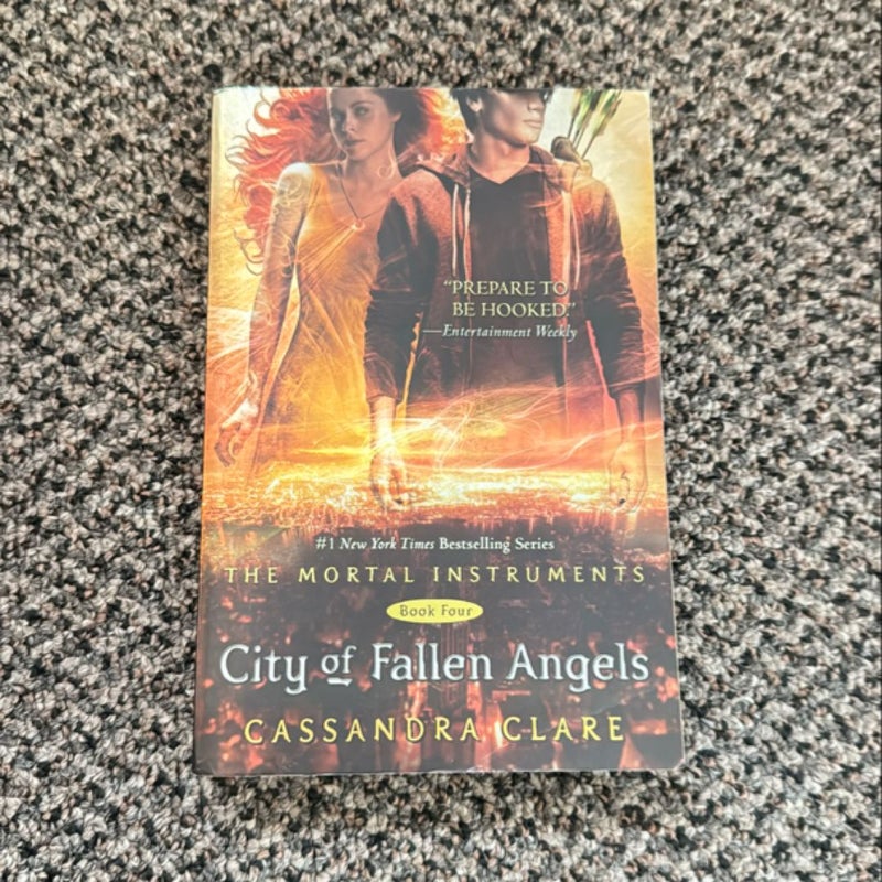 City of Fallen Angels