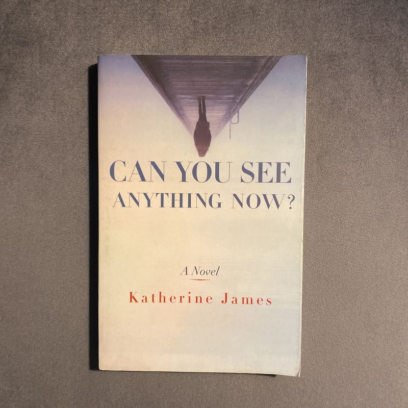 Can You See Anything Now?