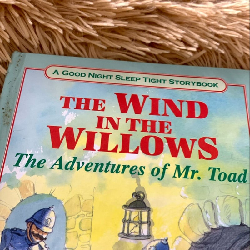 Wind in the Willows (the River Bank / the Wild Wood / the Adventures of Mr