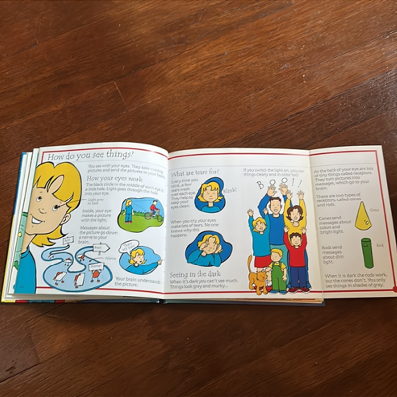 The Usborne Flip-Flap Body Book