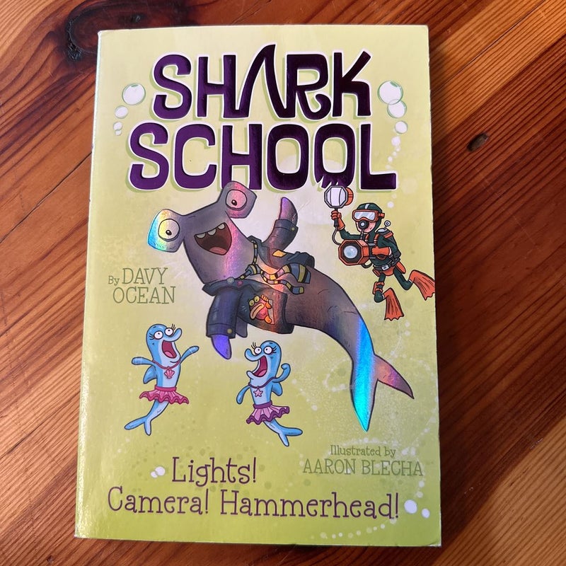 Lights! Camera! Hammerhead!