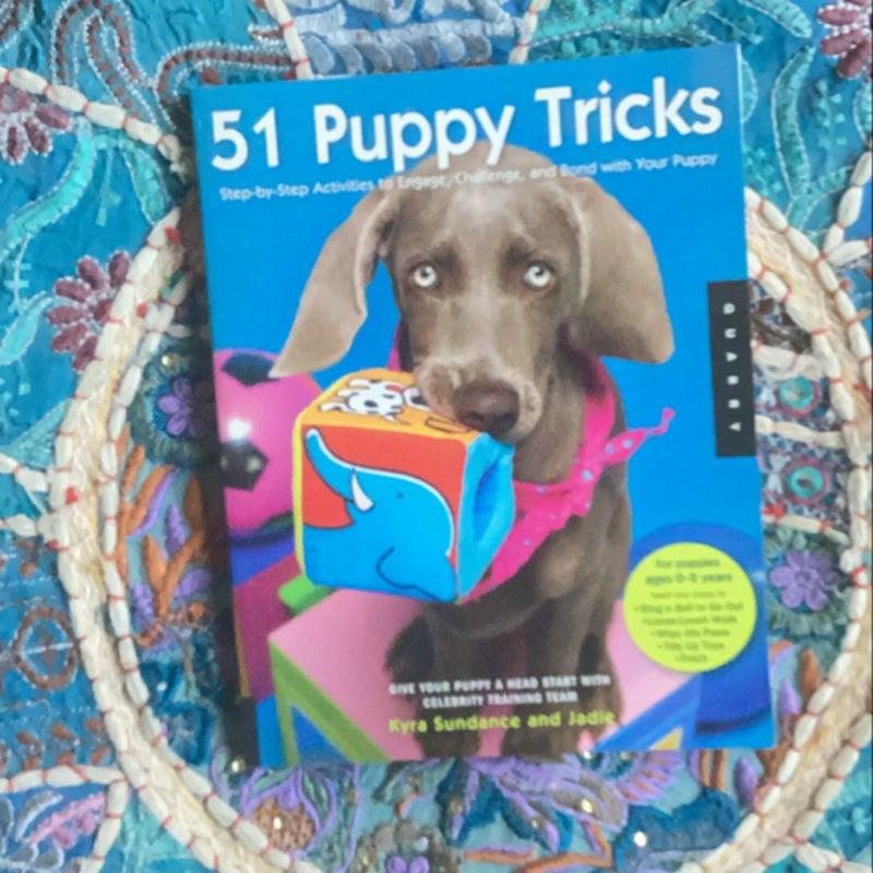 51 Puppy Tricks