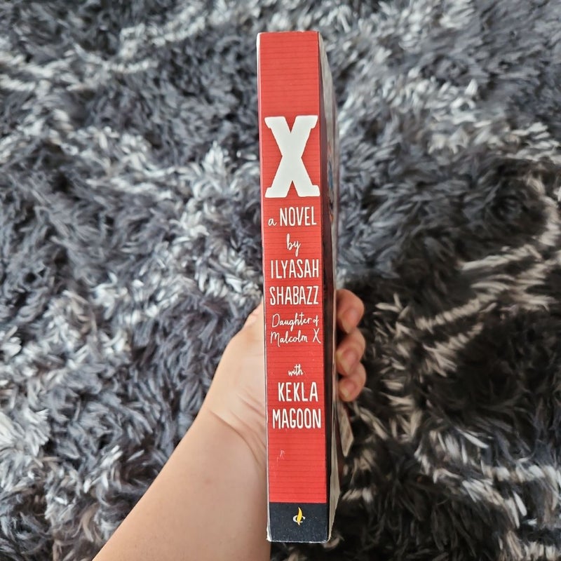 X: a Novel