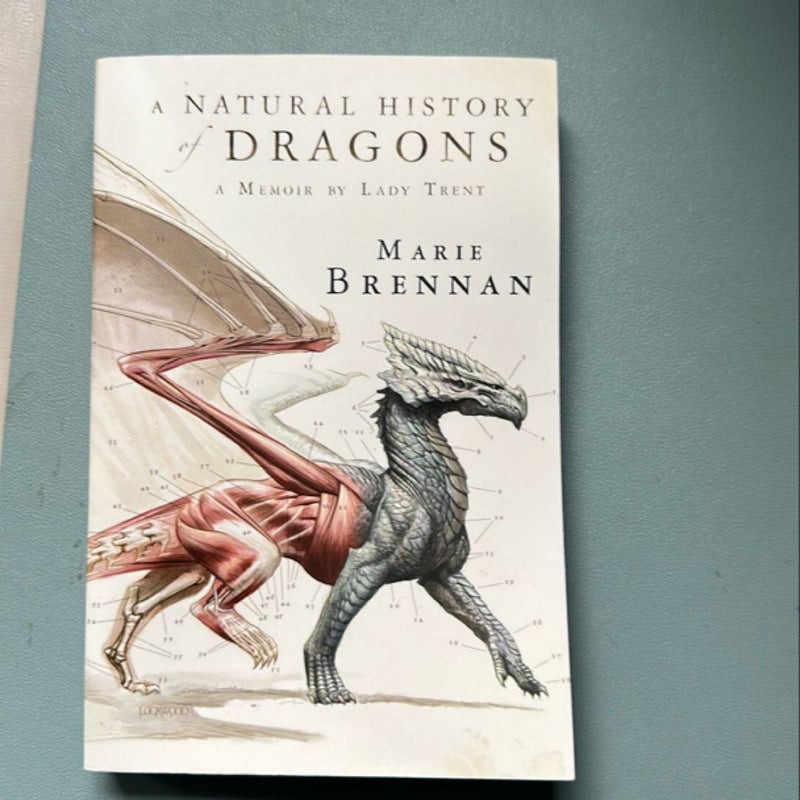 A Natural History of Dragons