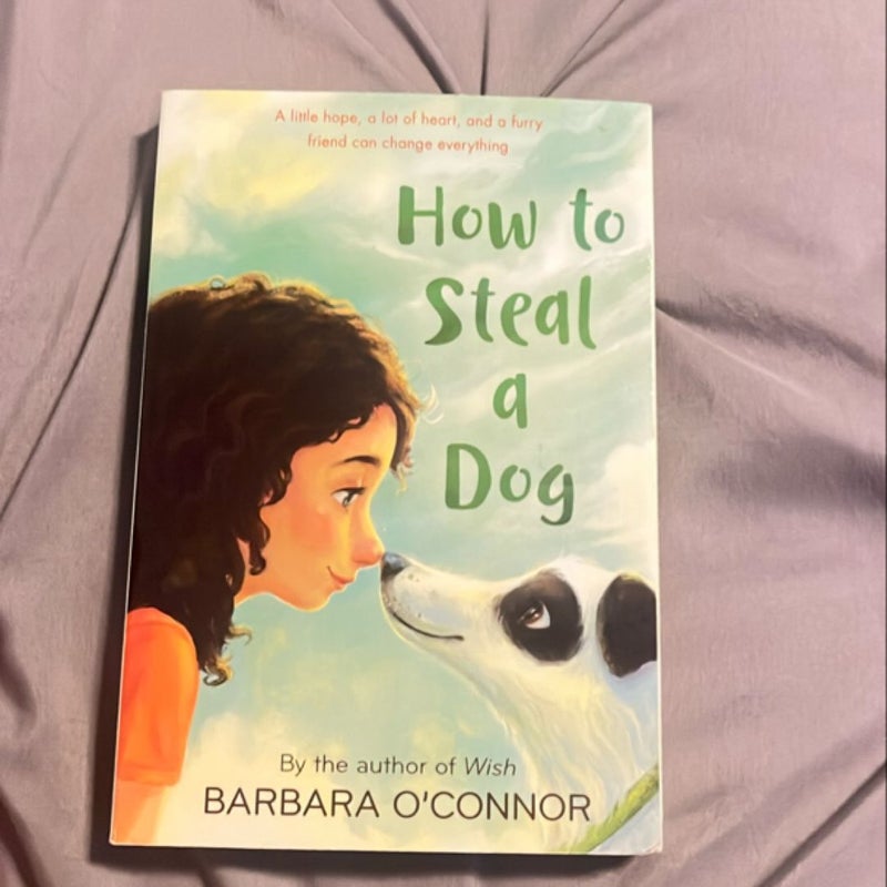 How to Steal a Dog