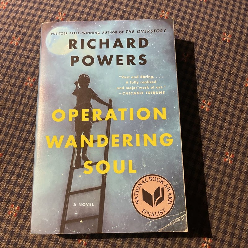 Operation Wandering Soul