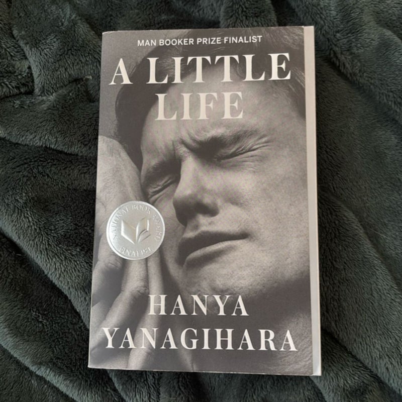 A Little Life