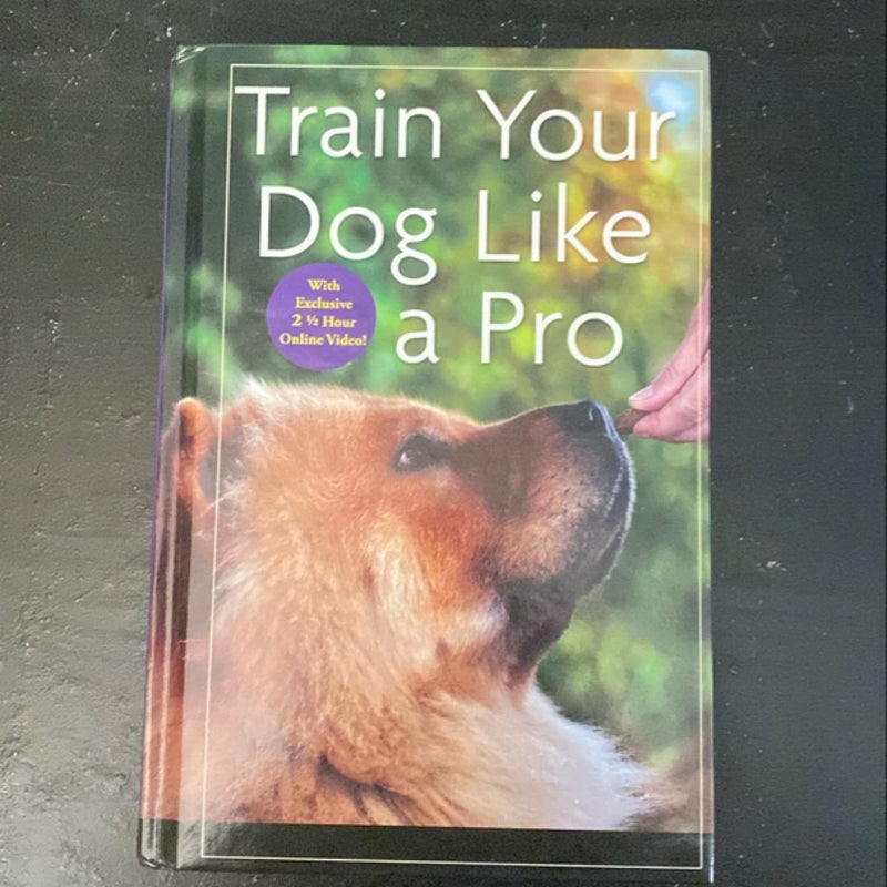 Train Your Dog Like a Pro