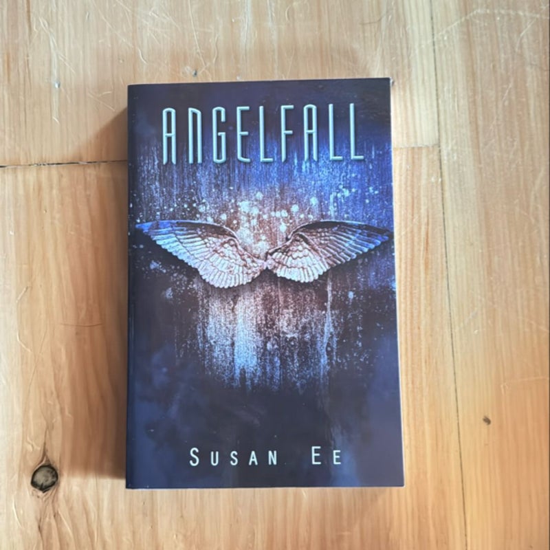 Angelfall