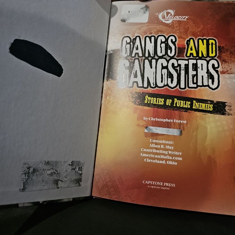 Gangs and Gangsters