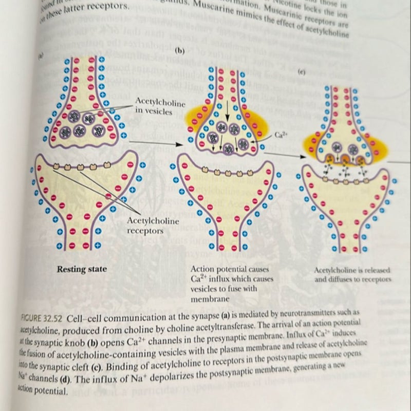 Biochemistry