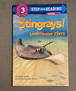 Stingrays! Underwater Fliers