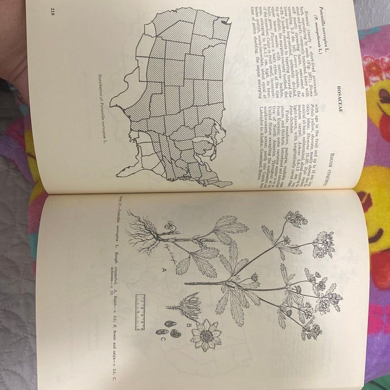 Common weeds of the United States 
