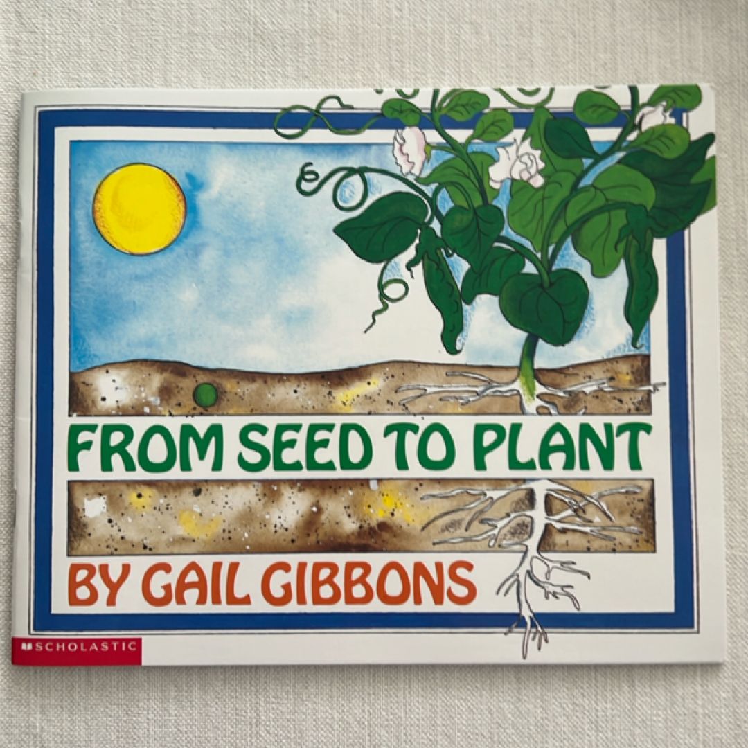 From Seed to Plant