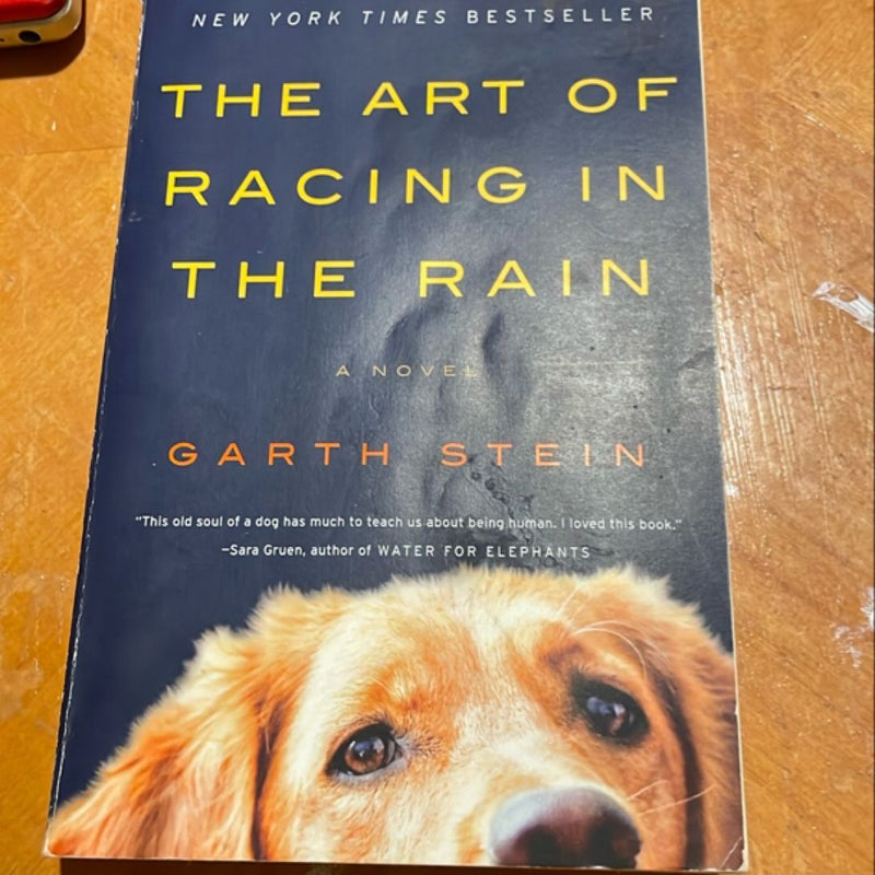 The Art of Racing in the Rain