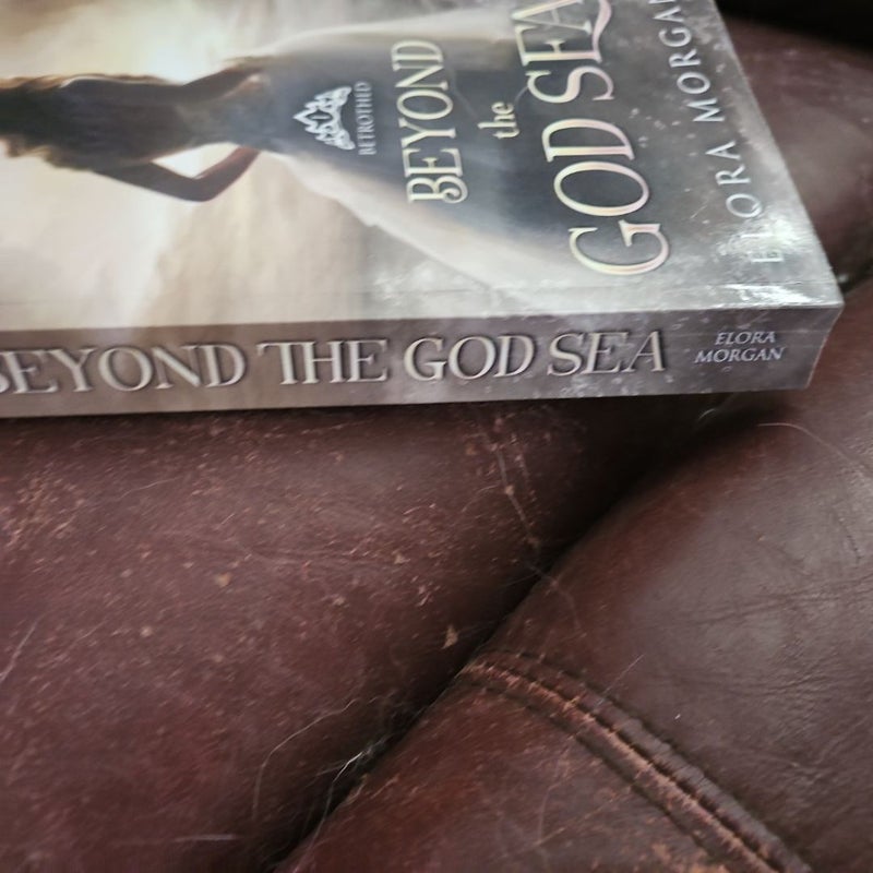 Indie published Beyond the God Sea