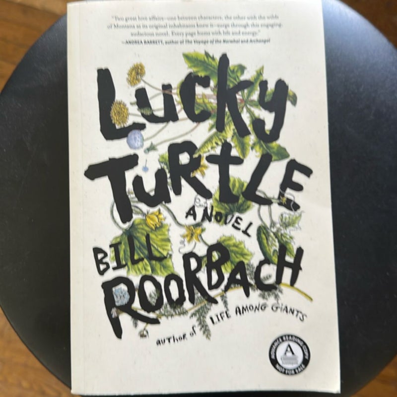 Lucky turtle