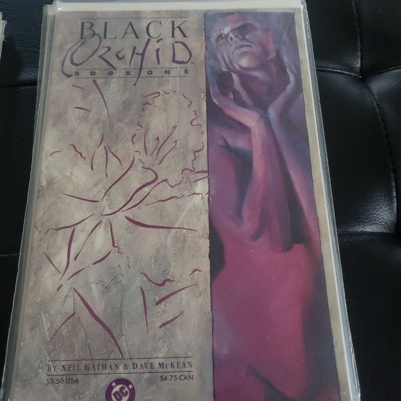 Black orchid 