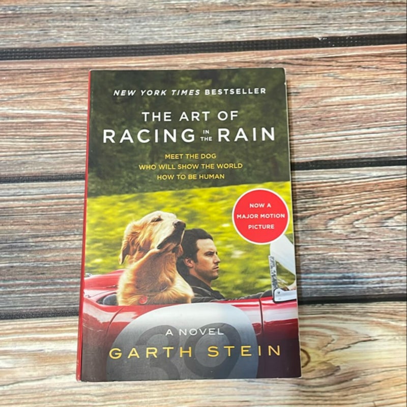 The Art of Racing in the Rain Tie-In