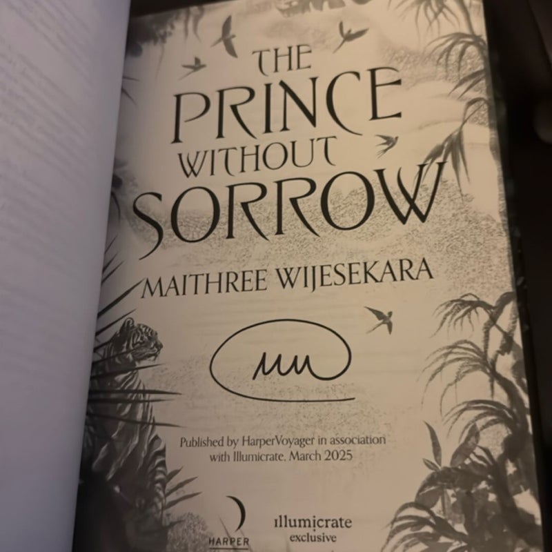 The Prince Without Sorrow