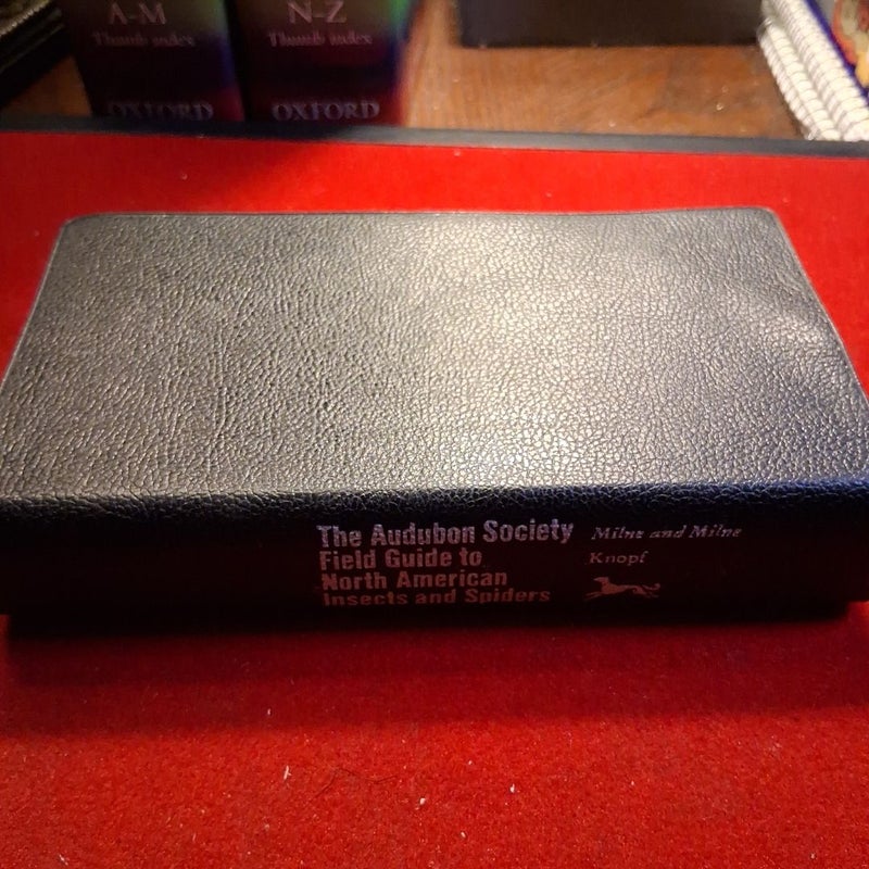 National Audubon Society Field Guide to Insects and Spiders