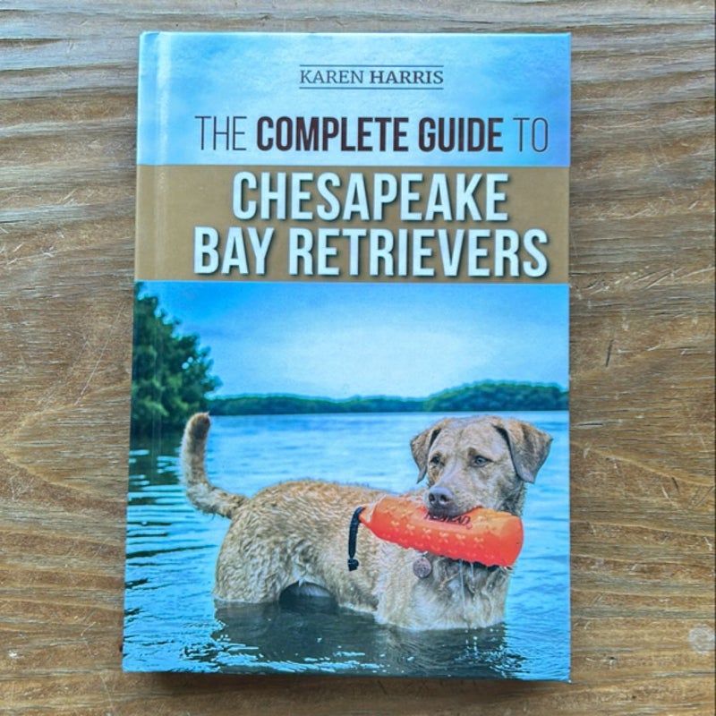 The Complete Guide to Chesapeake Bay Retrievers