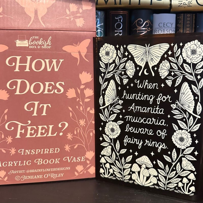 September 2024 Bookish Box The Stars Are Dying