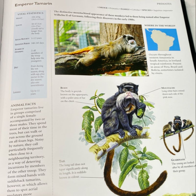 The Encyclopedia of Animals