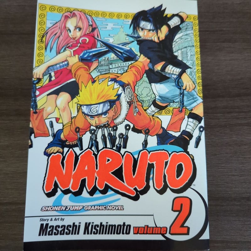 Naruto, Vol. 2