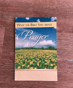 What the Bible Says about Prayer