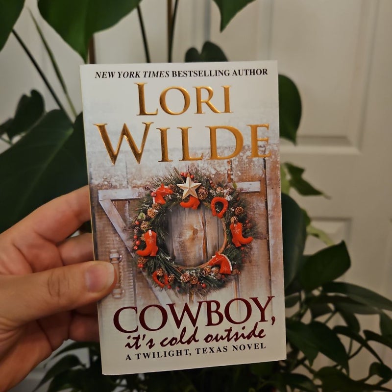 Cowboy, It's Cold Outside