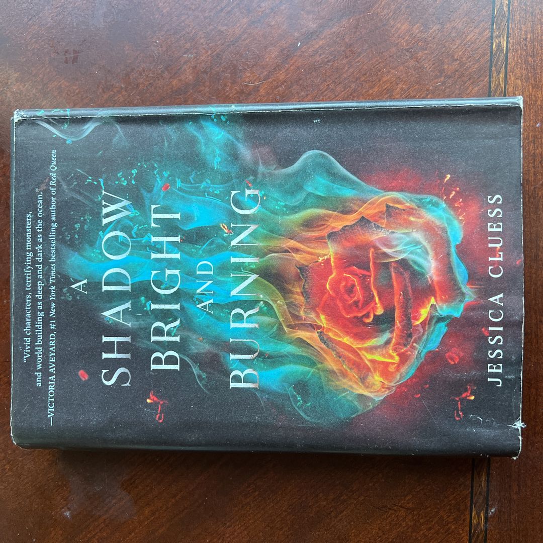 A Shadow Bright and Burning