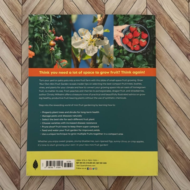 Grow Your Own Mini Fruit Garden