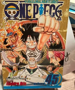 One Piece, Vol. 45