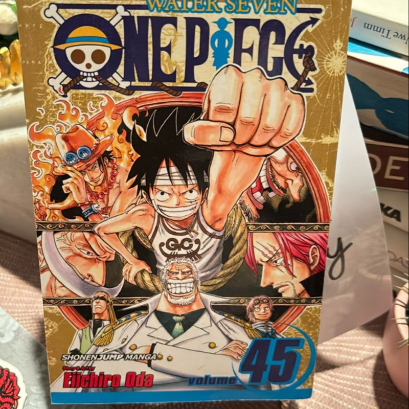 One Piece, Vol. 45
