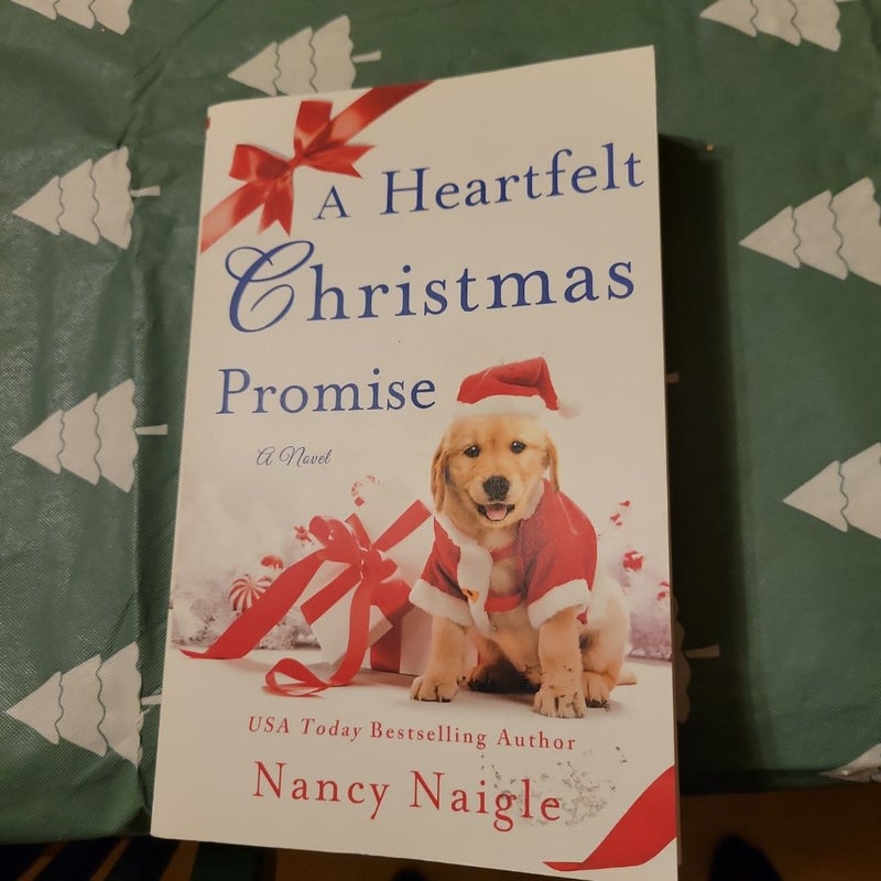 A Heartfelt Christmas Promise