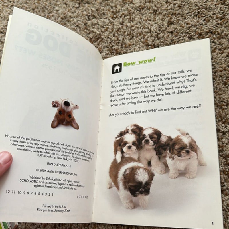 The dog
