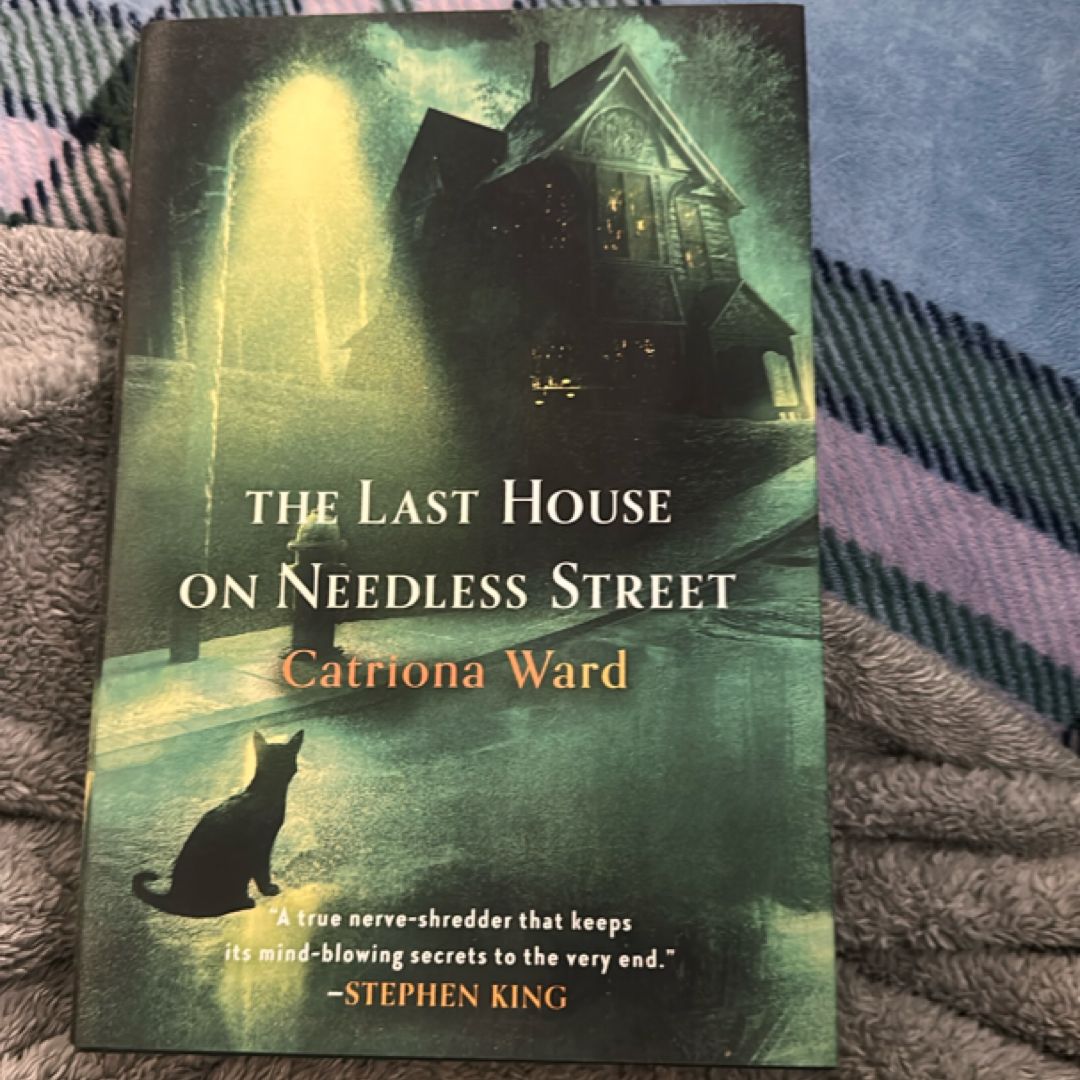 The Last House on Needless Street