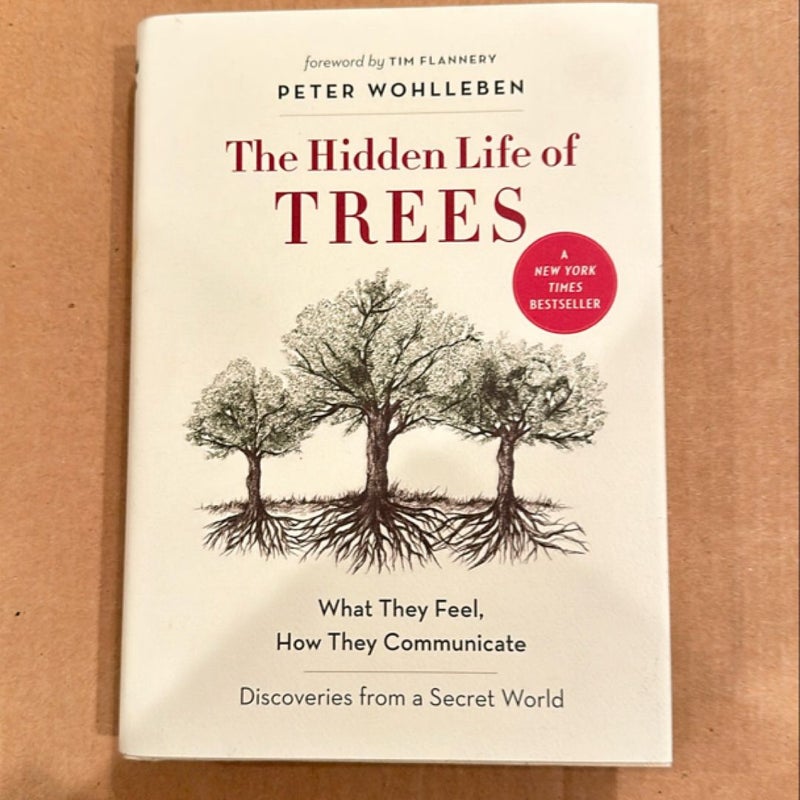 The Hidden Life of Trees