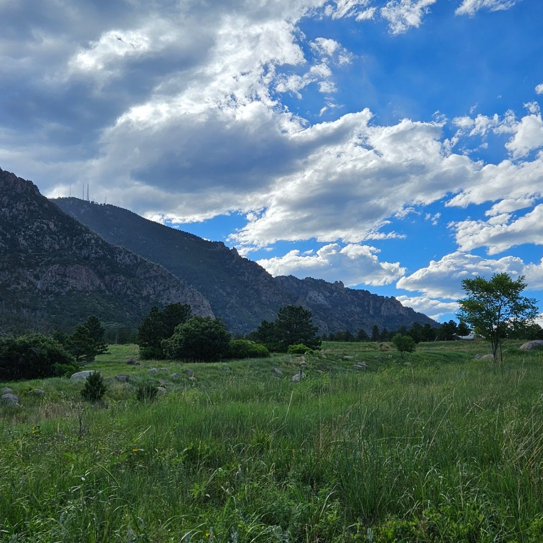 Special Edition, Sprayed Edges & All Around Bookish