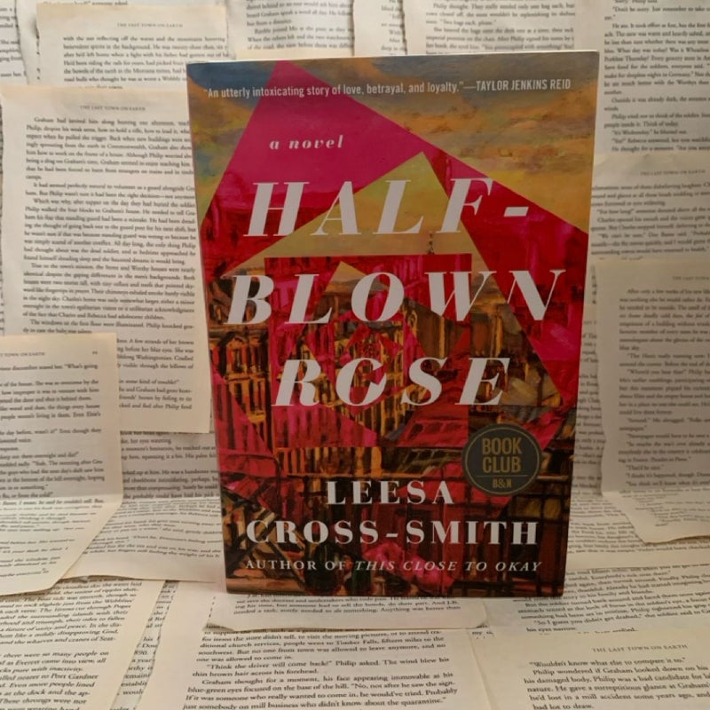 First Edition: Half-Blown Rose