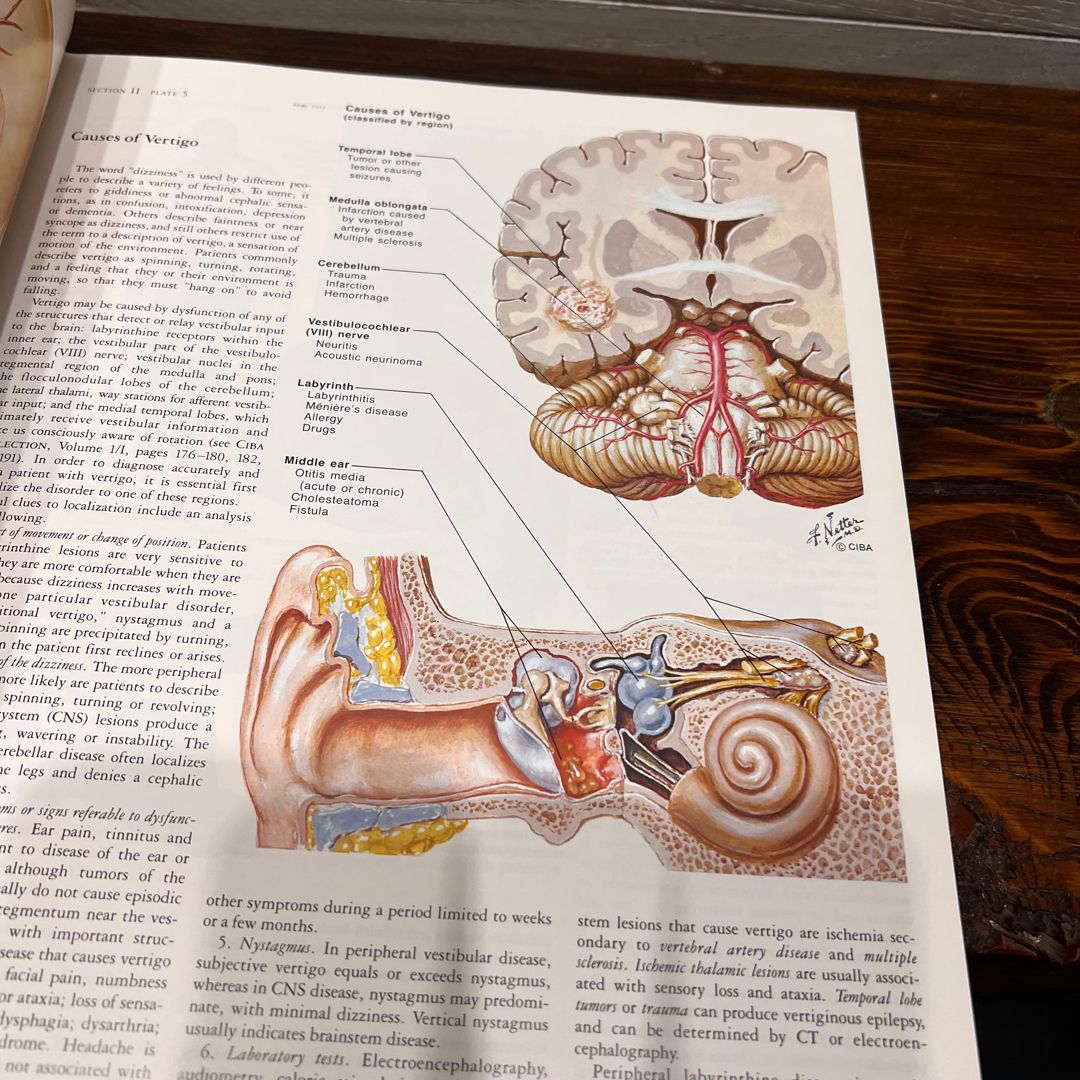 The Ciba Collection of Medical Illustrations, Vol. 1 Nervous