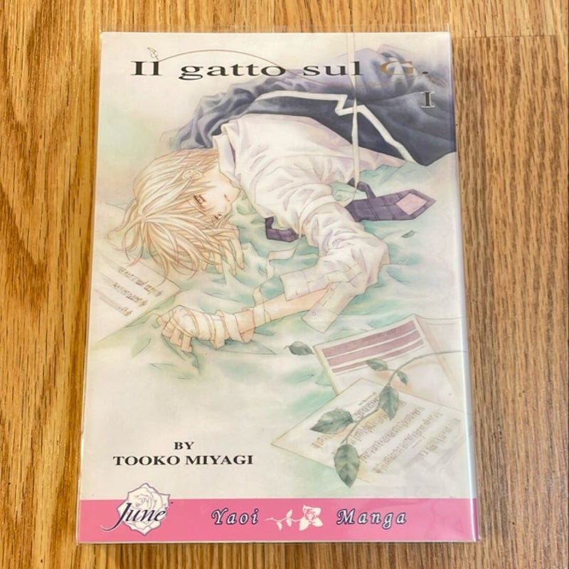 Il Gatto Sul G. Volume 1
