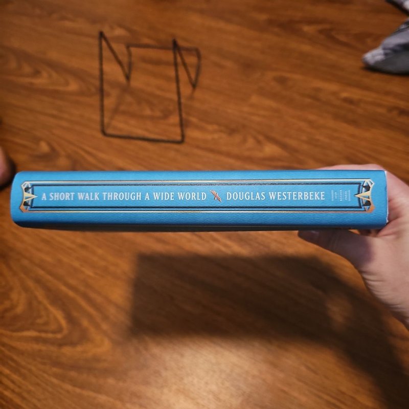 A Short Walk Through a Wide World