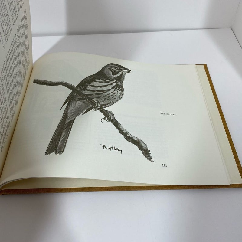 Ray Harm Nature Sketchbook