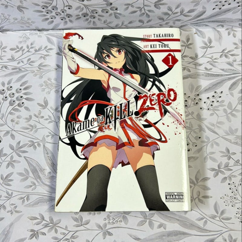 Akame Ga KILL! ZERO, Vol. 1