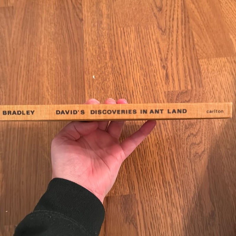 David’s Discoveries in Ant Land