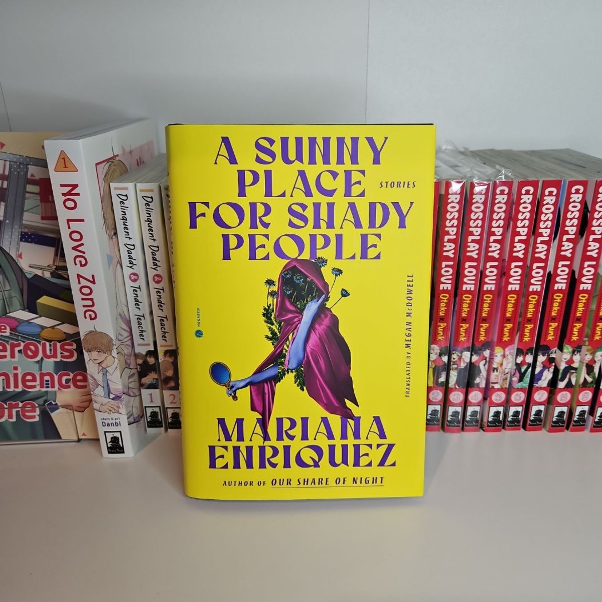 A Sunny Place for Shady People by Mariana Enriquez, Megan