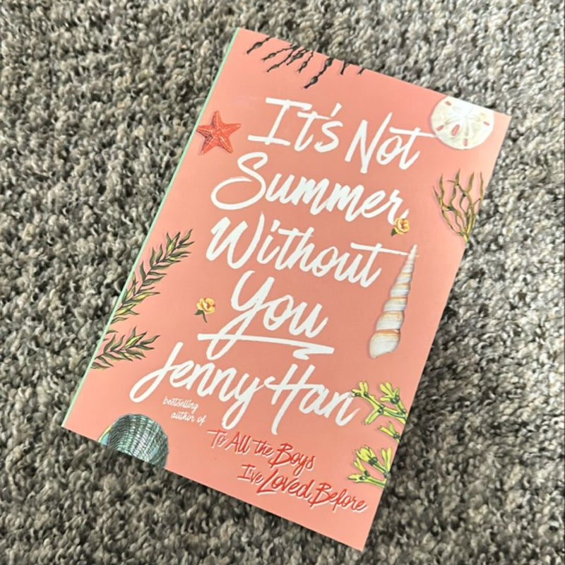 It's Not Summer Without You
